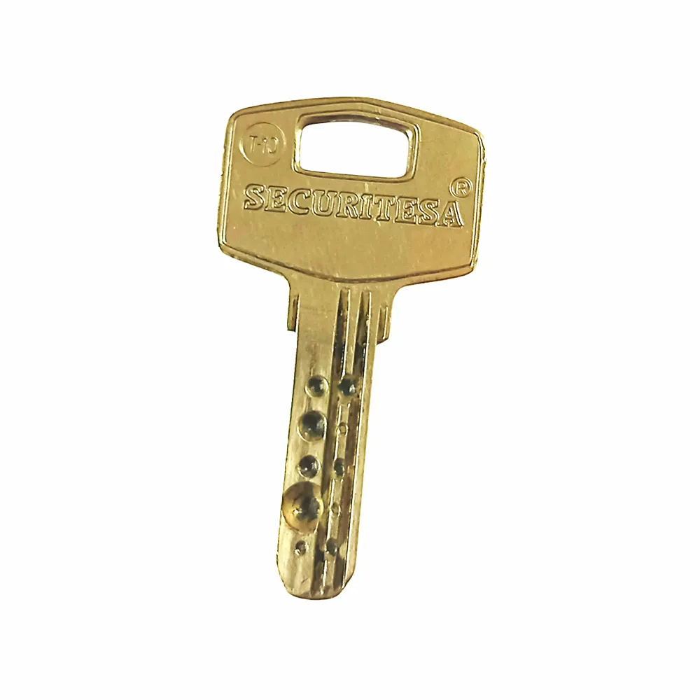 Copie de clé Securitesa T10