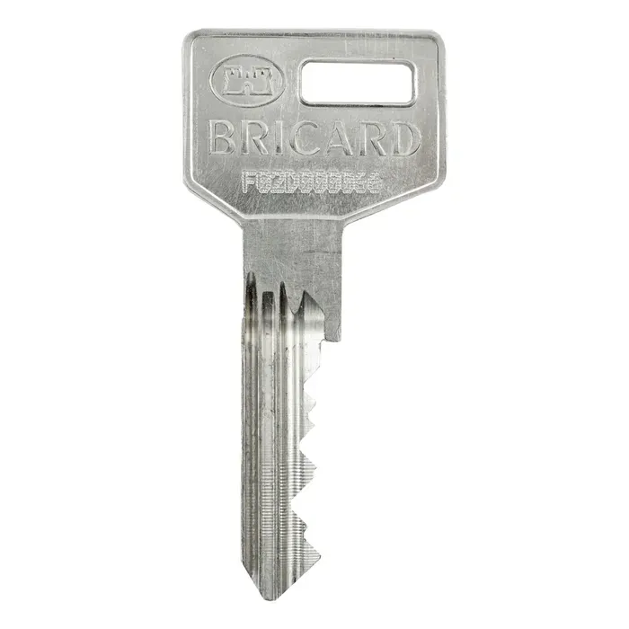 Copie de clé Bricard Octal