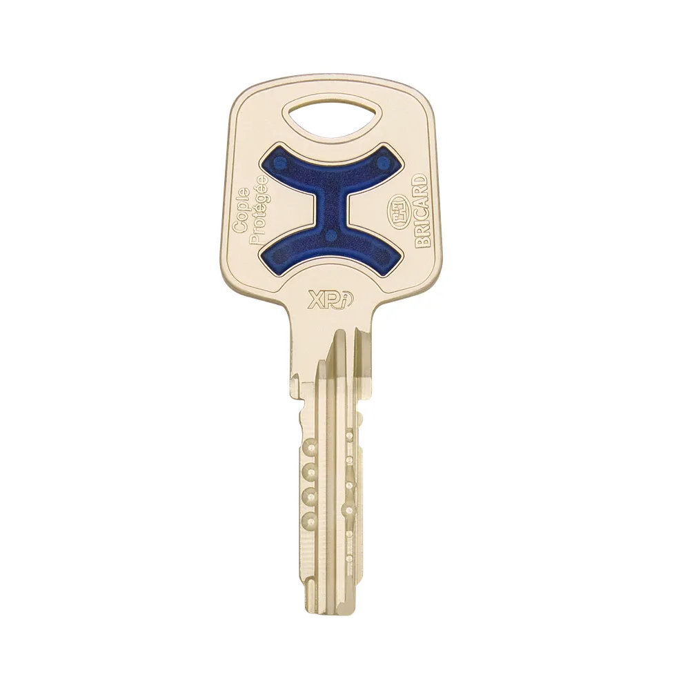 Copie de clé Bricard Serial XPi